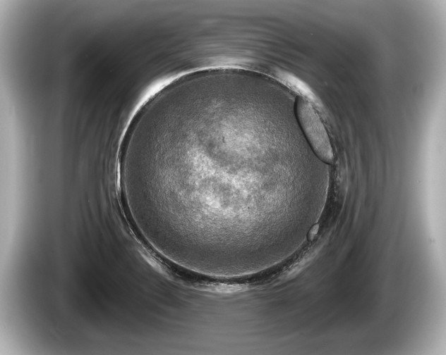 X0000085301324200703161427