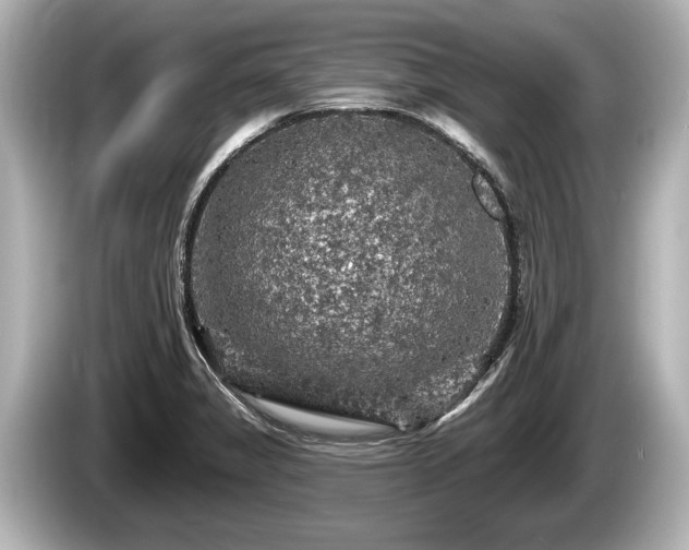 X0000085301325200703161427