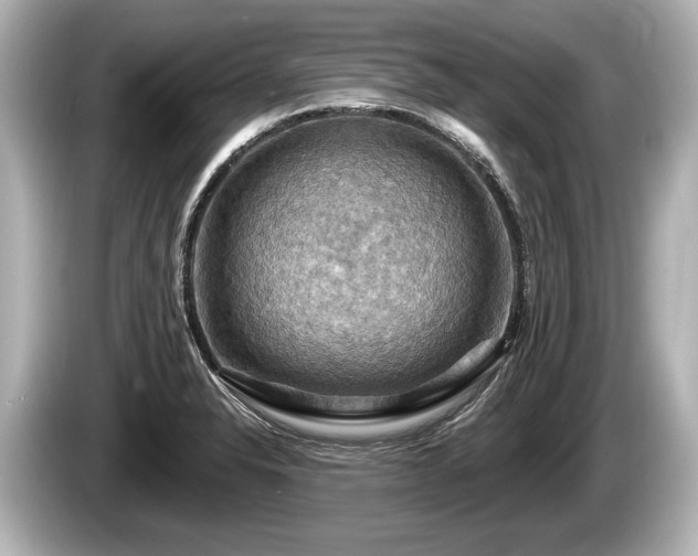 X0000085301326200703161427