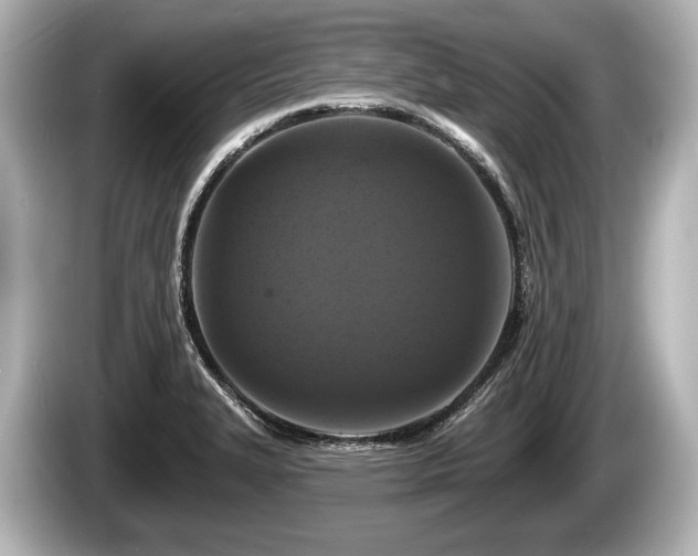 X0000085301327200703161427