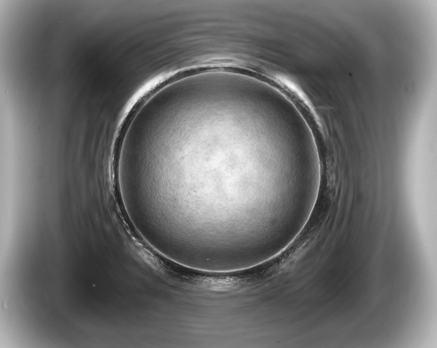 X0000085301328200703161427