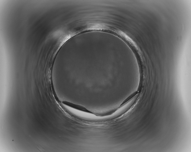 X0000085301329200703161427