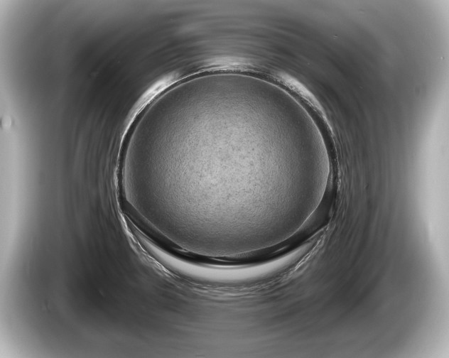 X0000085301330200703161427