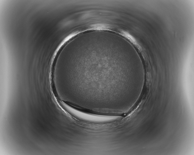 X0000085301331200703161427