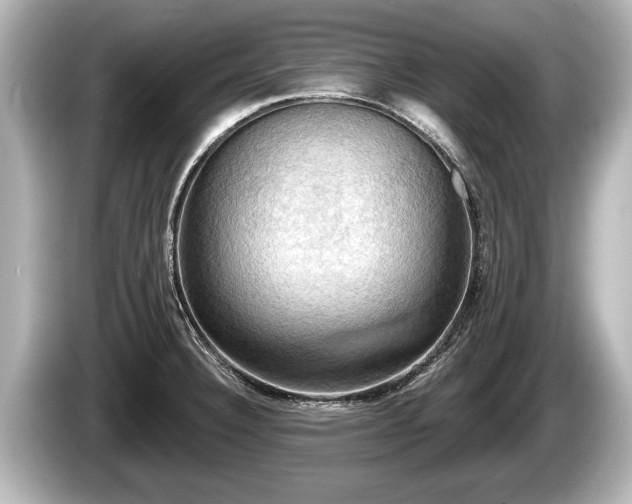 X0000085301332200703161427