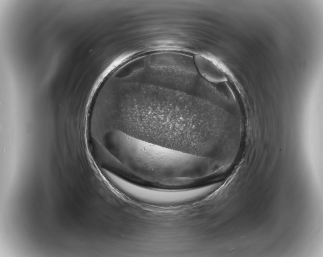 X0000085301333200703161427