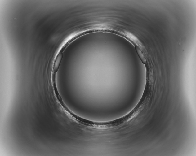 X0000085301334200703161427