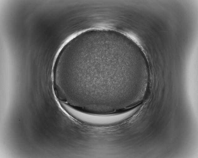 X0000085301335200703161427