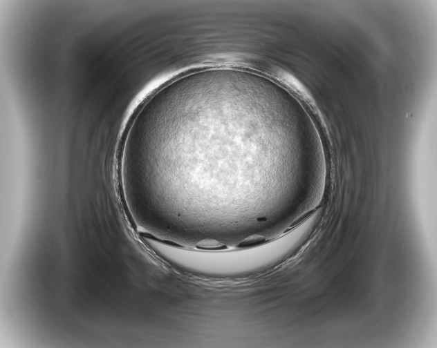 X0000085301336200703161427