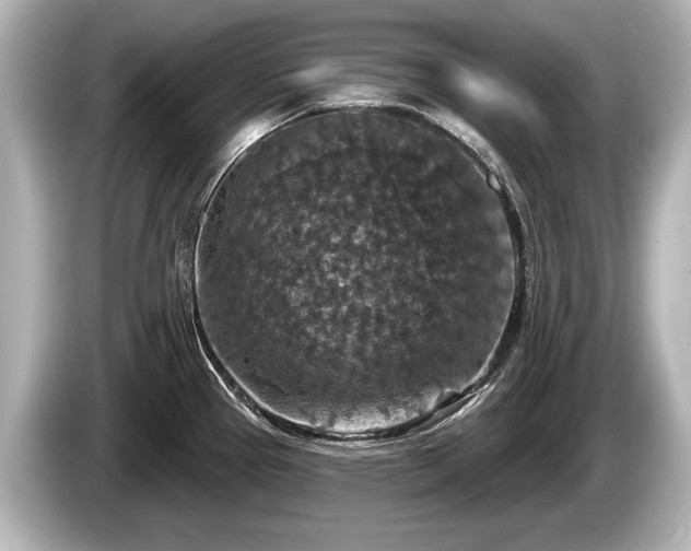 X0000085301337200703161427