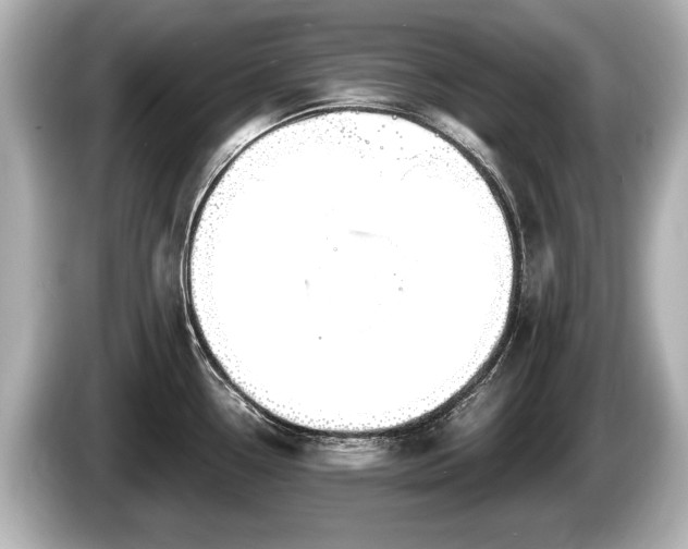 X0000085301338200703161427