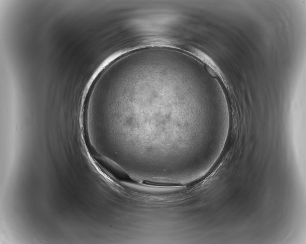 X0000085301339200703161427