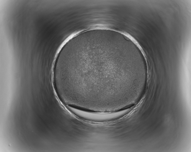 X0000085301341200703161427