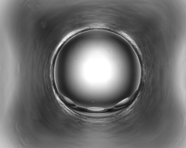 X0000085301342200703161427