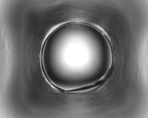 X0000085301343200703161427