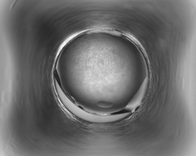 X0000085301344200703161427