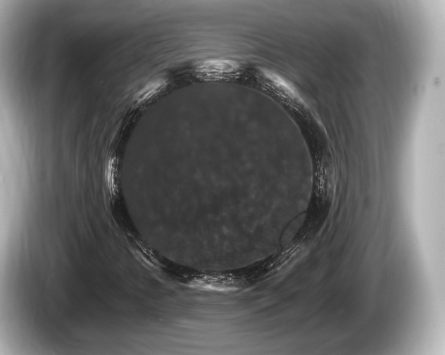 X0000085301346200703161426