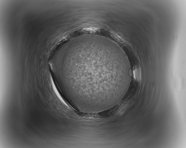 X0000085301347200703161426