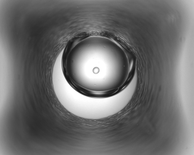 X0000085301348200703161426