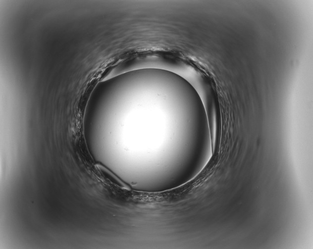 X0000085301349200703161426