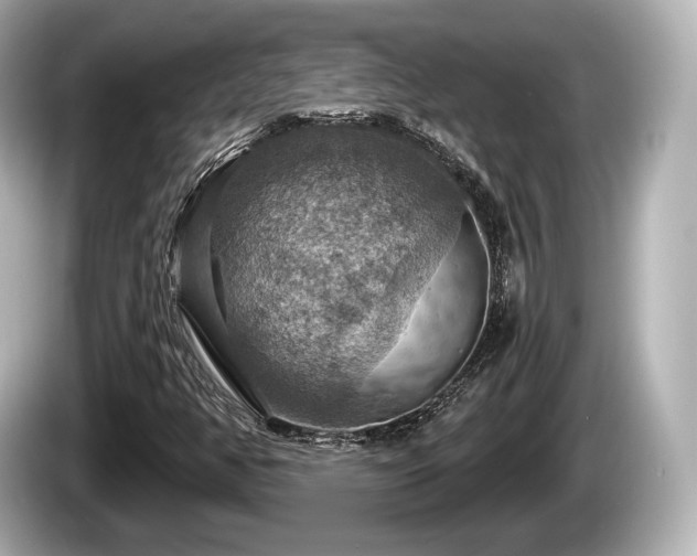 X0000085301350200703161426