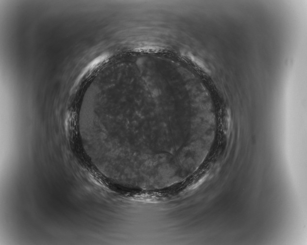 X0000085301351200703161426