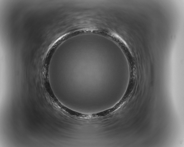 X0000085301352200703161426