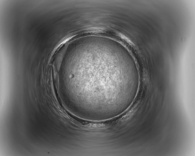 X0000085301354200703161426