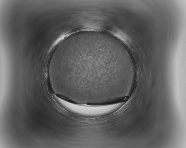 X0000085301355200703161426