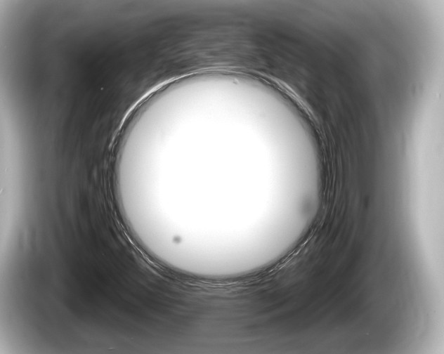 X0000085301356200703161426