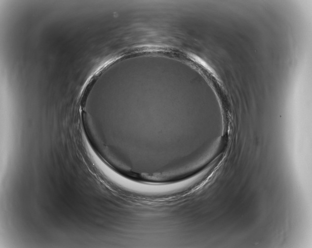 X0000085301357200703161426