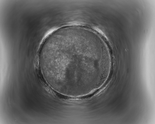 X0000085301358200703161426