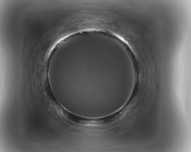 X0000085301359200703161426