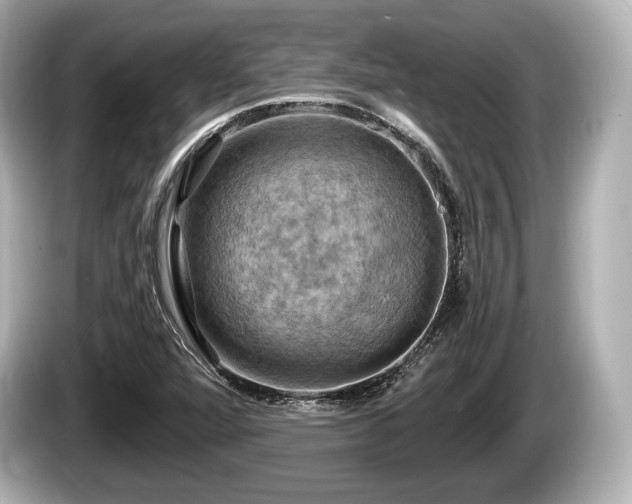 X0000085301360200703161426