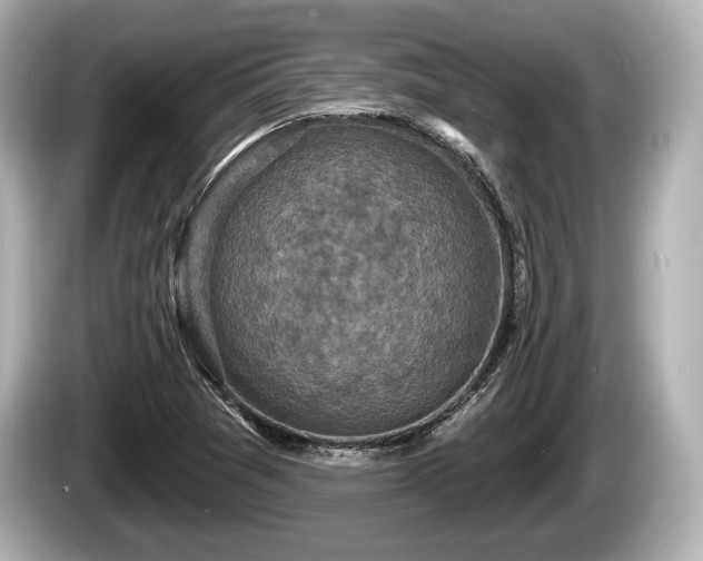 X0000085301361200703161426