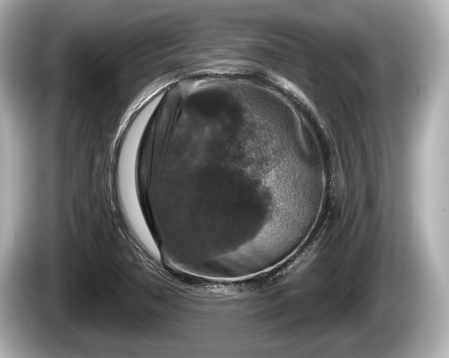 X0000085301362200703161426