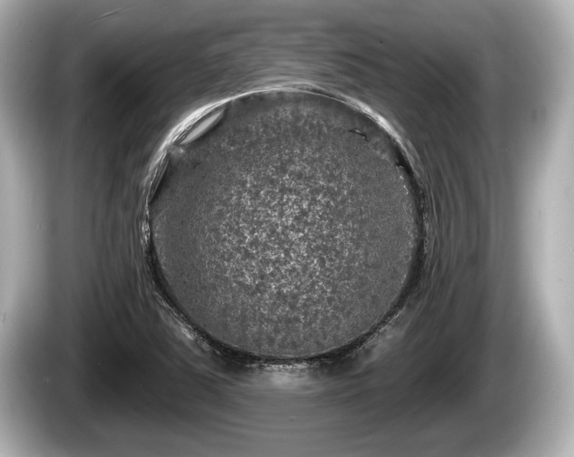 X0000085301363200703161426