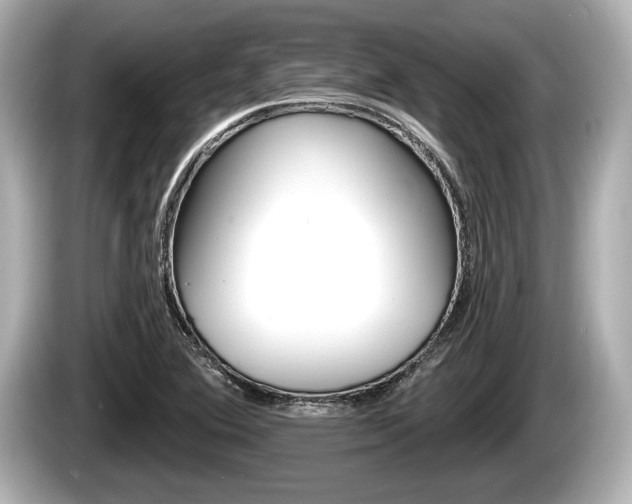 X0000085301364200703161426