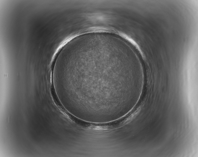 X0000085301365200703161426