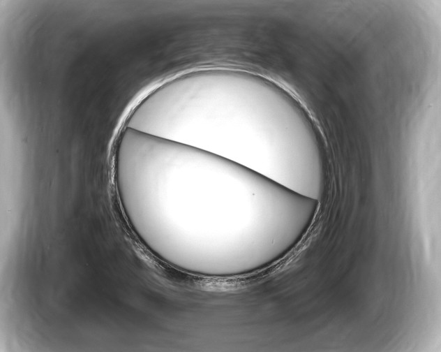 X0000085301366200703161426