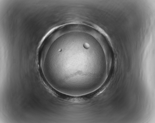 X0000085301368200703161426