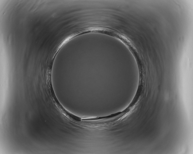 X0000085301369200703161426