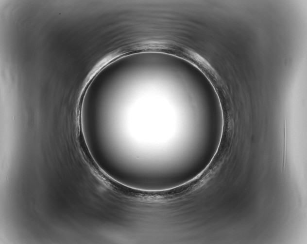 X0000085301370200703161426