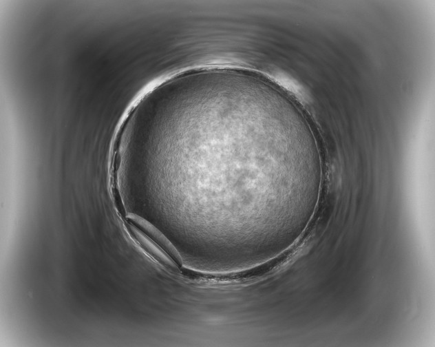 X0000085301374200703161426