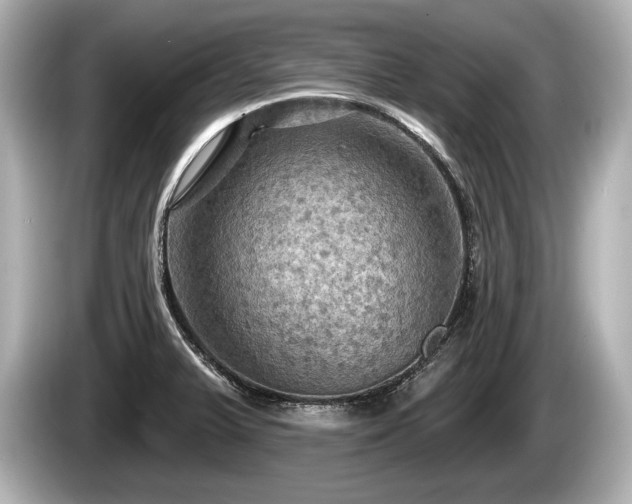 X0000085301375200703161426