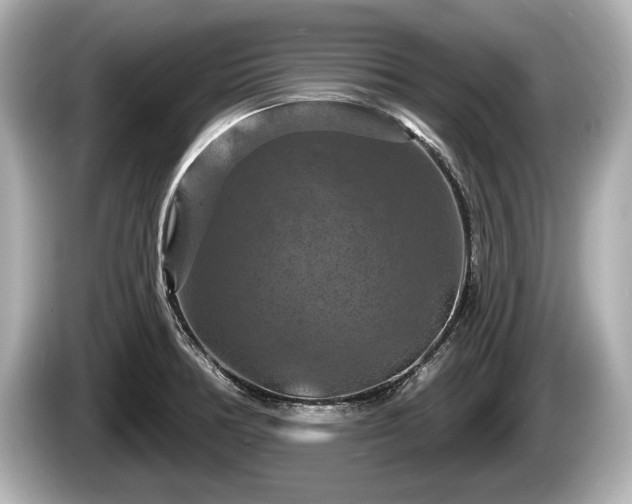 X0000085301378200703161426