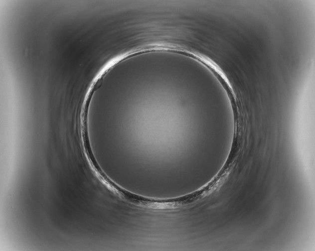 X0000085301381200703161426