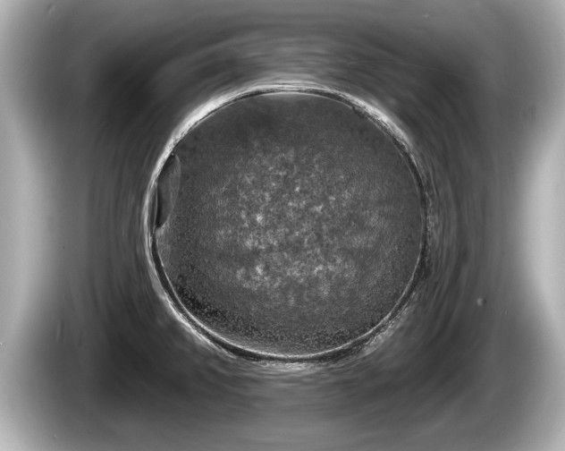 X0000085301382200703161426