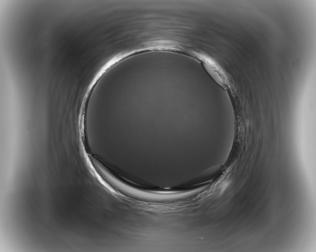 X0000085301383200703161426