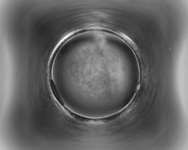 X0000085301384200703161426